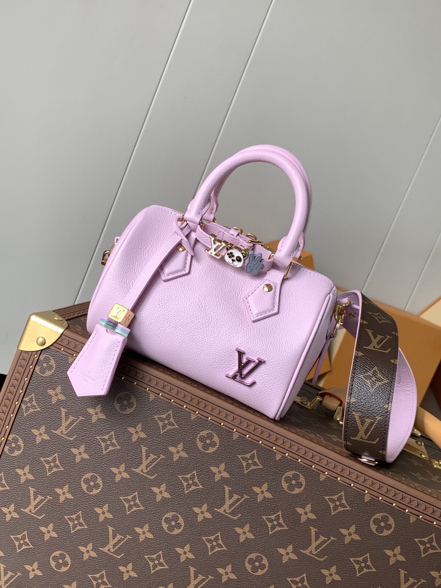 Louis Vuitton Speedy 18 - M24598